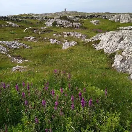 Сasa de vacaciones Entire Coastal In Connemara Ireland