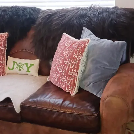 Entire Coastal In Connemara Ireland Galway