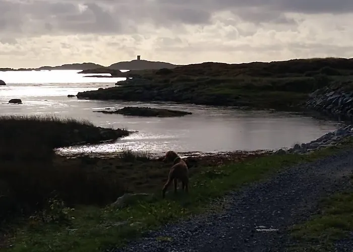 Entire Coastal In Connemara Ireland * Γκάλγουεϊ
