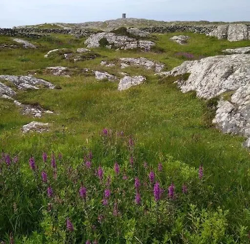 Σπίτι διακοπών Entire Coastal In Connemara Ireland